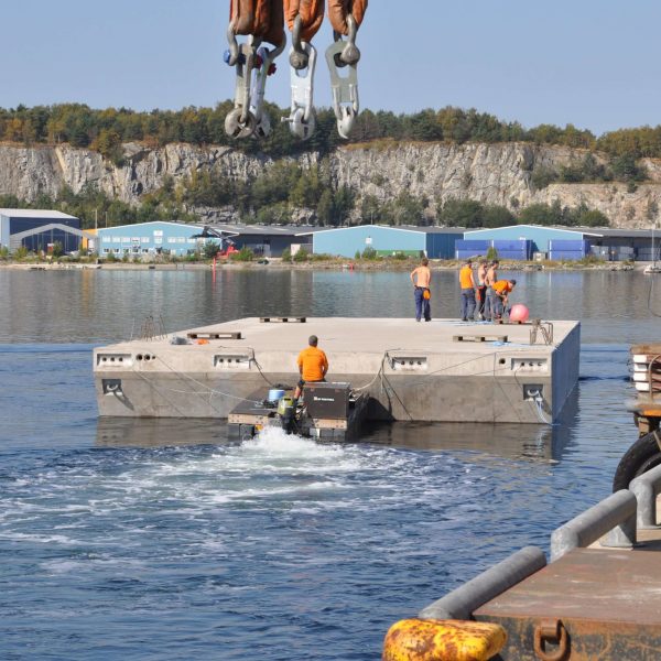 D90,Aug,21.08.2015_134